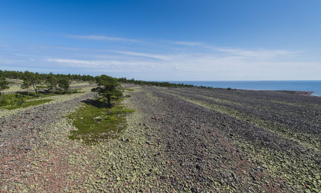 A picture of the large cobble field at Norrfällsviken.