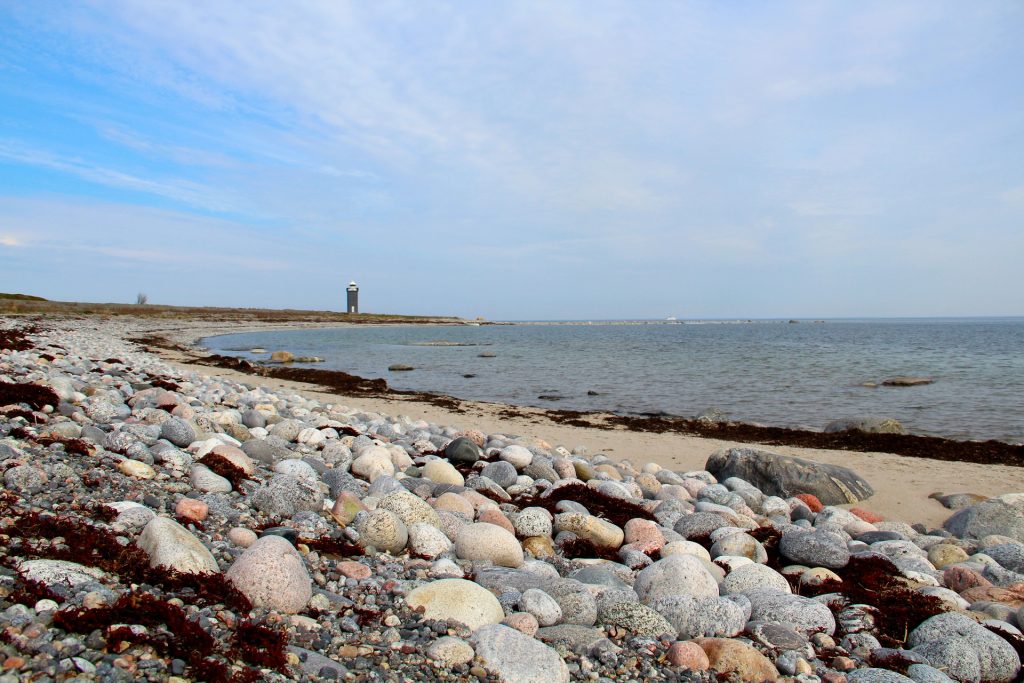 Picture with a cobble field and sandy beach.